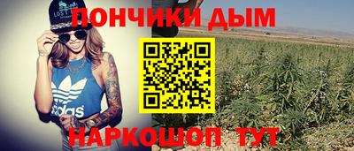 гидра Гусев